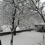 Gæstehus Homely 3*