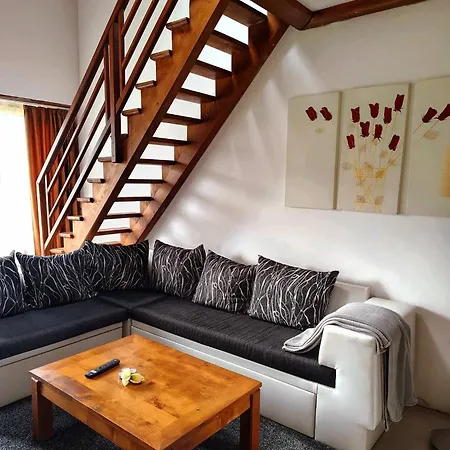 Homely 招待所 3*
