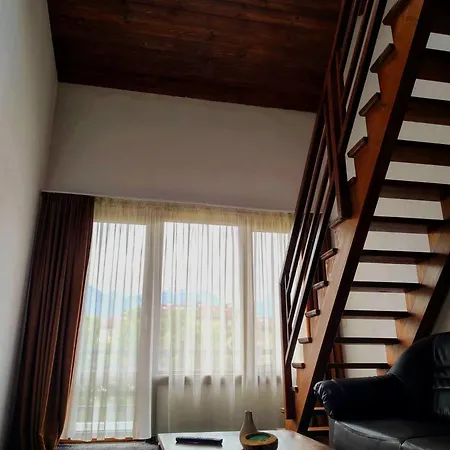 招待所 Homely 3*