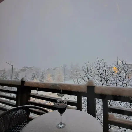 Homely 3* Банско