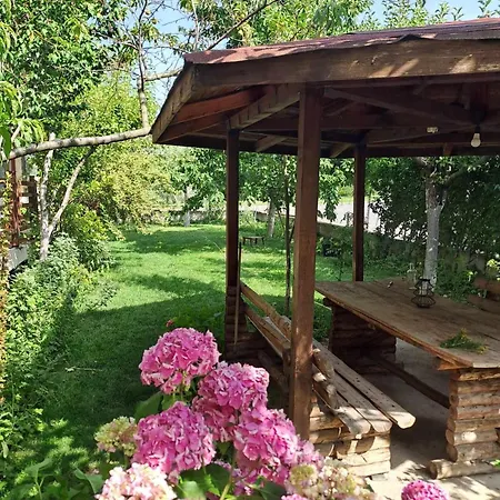 Гостевой дом Homely 3*