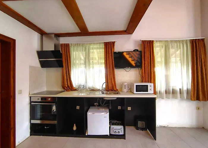 цветелина и митко Pensión