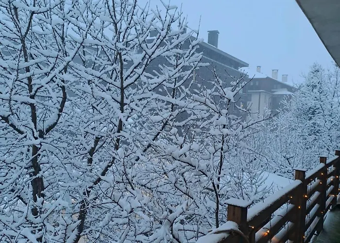 Pensión цветелина и митко Bansko