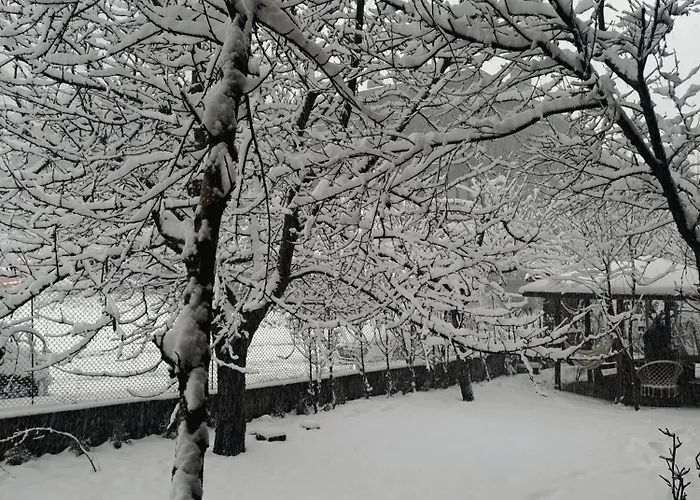 Pensión цветелина и митко *